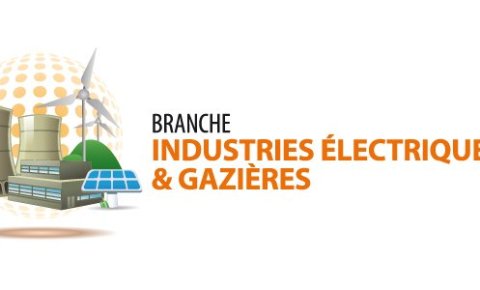 A la "UNE" de la branche des Industries Electriques et (...)