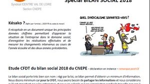 CNEPE Tours : compte rendu de CE spécial bilan social