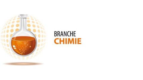 L'actualité des sections de la branche Chimie