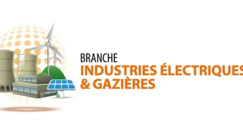 Grille de Salaire 2015 des entreprises de la branche IEG